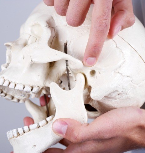 Oral surgeon using skull model to explain T M J disorder therapy