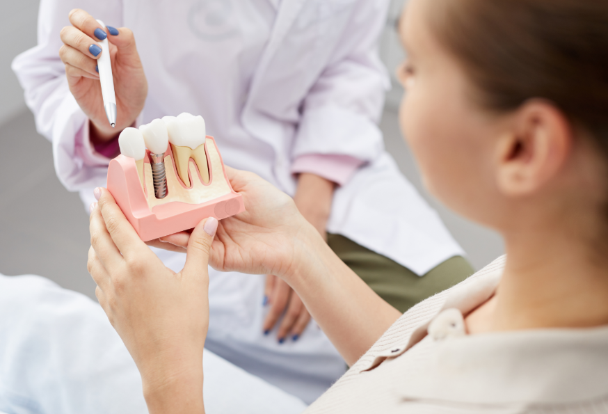 Dentist showing patient model dental implant